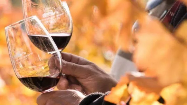 ¿Quién se ha tomado todo el vino? El mayor consumo en 7 años