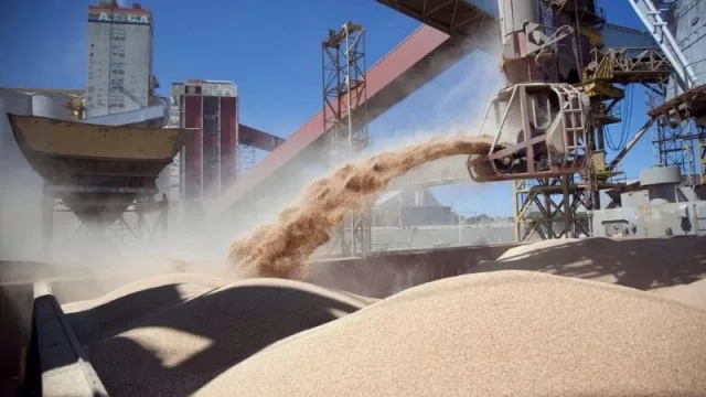 ¡Atención productores jujeños! El Senasa inscribe a comercios de cereales que quieran importar a China (mañana, último día)