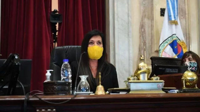 No voy en tren ni en avión: el reclamo de la senadora Rodríguez Machado sobre una fecha de vuelta del transporte (y ayuda al turismo)