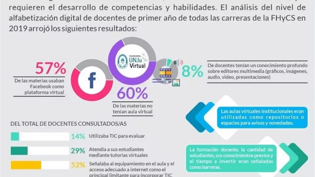 TIC en la Universidad Nacional de Jujuy: balance de la alfabetización digital de docentes en la Facultad de Humanidades y Ciencias Sociales