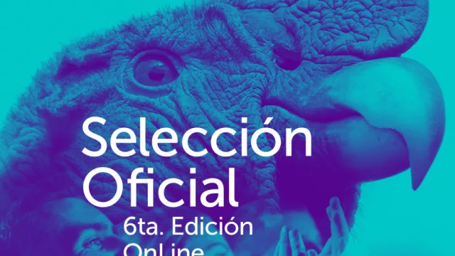 De Jujuy al mundo: el Festival Internacional de Cine se podrá ver desde millones de casas (selección oficial de películas: cuáles son y cómo verlas gratis) 