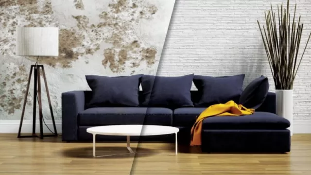 Pirka Stone, la empresa que franquicia fábricas y locales de placas antihumedad continuó su expansión en cuarentena