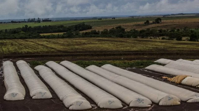 Seguros para silobolsas: ante la ola de vandalismo, creció la demanda