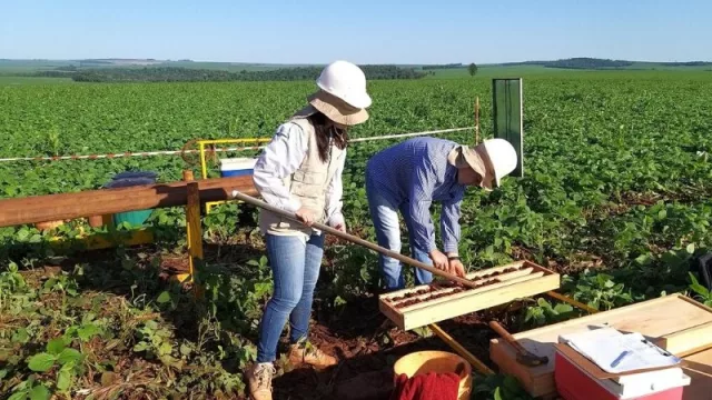 ¿Sabías que en Paraguay hay actividad minera? (e invierten millones)