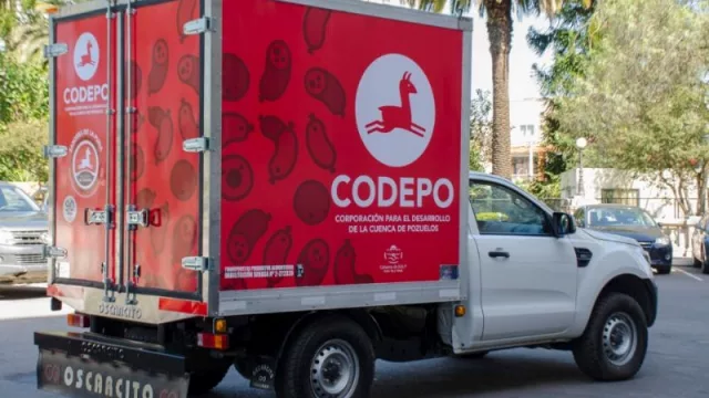 Señalan lo importante del consumo de productos de camélidos y cultivos andinos para favorecer a las economías regionales