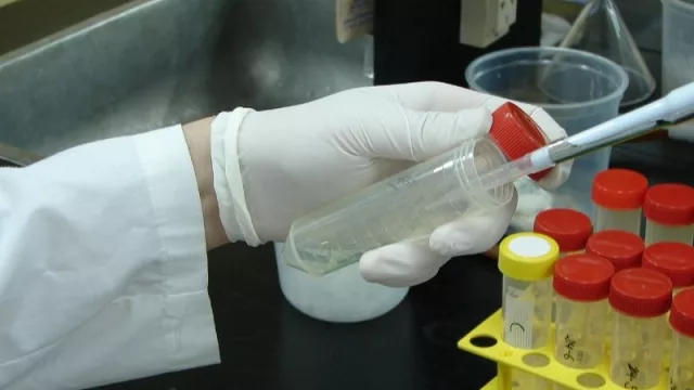 El INTA creó un biolarvicida para hacer frente al dengue: ¿será una solución para el brote del ramal jujeño?