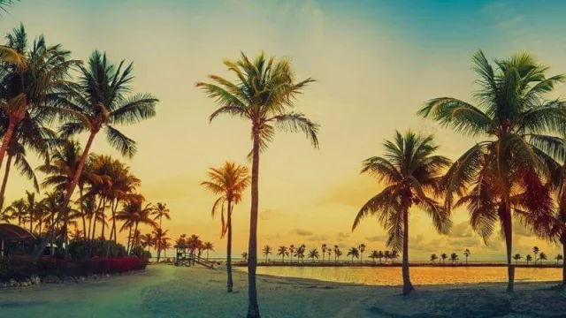 No comprés dólares a $ 125: Grupo Mas Viajes lanzó el “Travel voucher” a $ 90 (para viajar, claro)