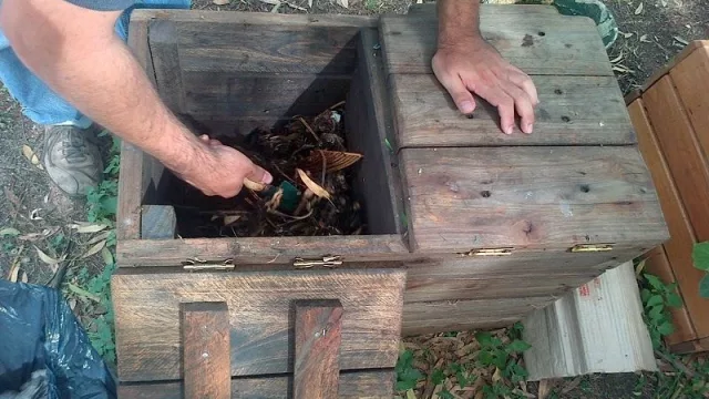 Compost orgánico: una buena forma de eliminar (o reducir) residuos domiciliarios en tiempos de cuarentena