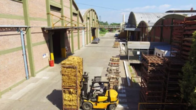 Paso a paso: reanudan parcialmente la actividad tabacalera en la provincia