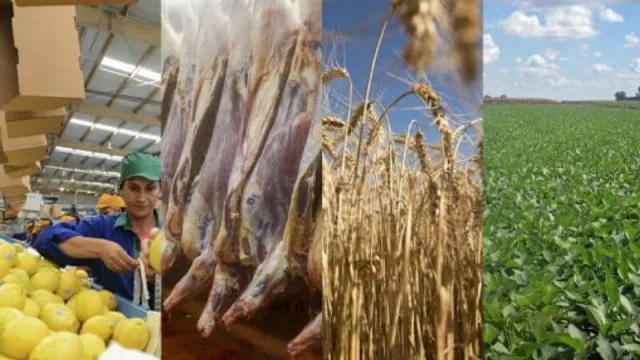 El Gobierno de Corrientes lleva adelante actividades para los productores durante la cuarentena