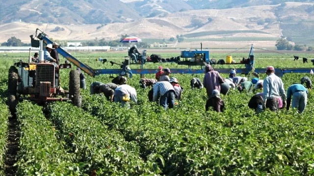 El Renatre habilitó la solicitud en forma virtual de la prestación por desempleo