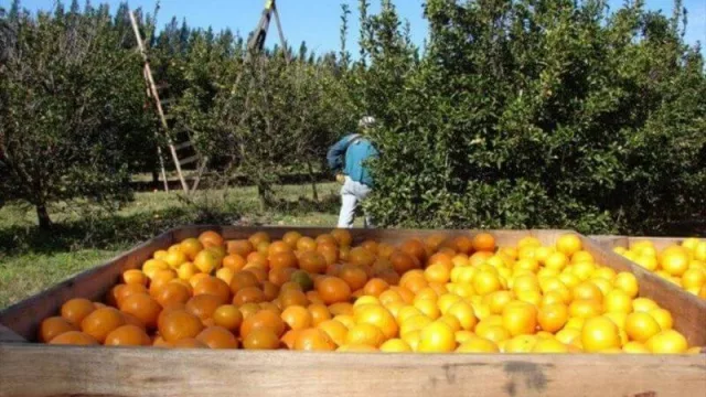 Exceptuado del aislamiento, el sector productivo encontró algunas trabas para trabajar