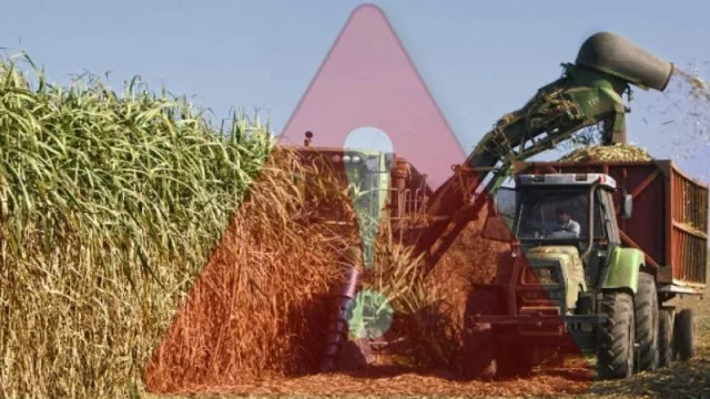 Sector azucarero: el Gobierno analiza abrir la importación (productores piden apoyo)