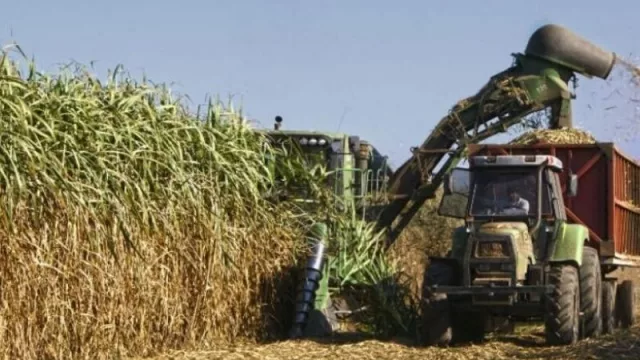 Rocchia Ferro aseguró que la zafra 2020 comenzará con el pie derecho 