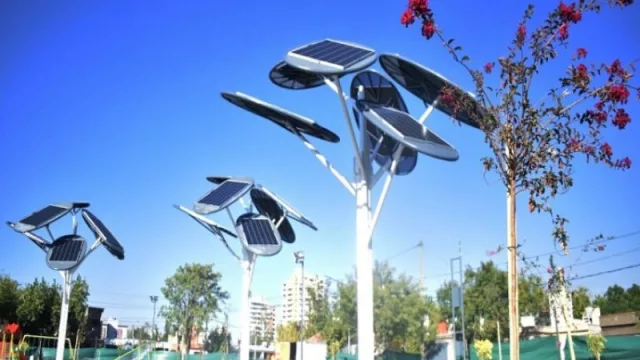 ¿Conocés los árboles solares? Dan internet gratis y energía para cargar el celu (¿habrá en Jujuy?)