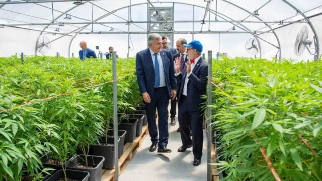 El embajador de Canadá visitó el proyecto de producción estatal de cannabis medicinal