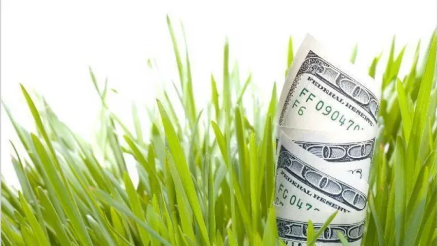 Con una baja de 8%, la liquidación de dólares del campo tuvo su peor enero en cinco años