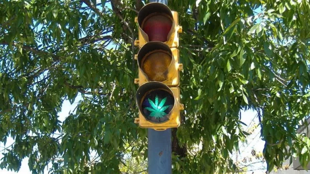 Crece el consumo recreativo legal de marihuana en el mundo: ¿cómo se vislumbra el tema en Argentina y Jujuy?