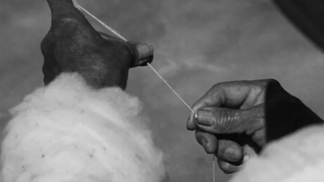 Un gran cierre de año para la agricultura familiar: productos jujeños llegan a Estados Unidos, Australia y España 