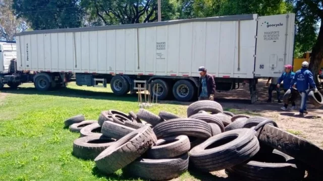 ¡Gran Neumatón en El Carmen! Familias y empresas superaron expectativas en su primera edición  