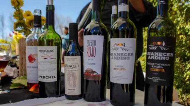 Forbes Argentina: crisis en el campo vitivinícola nacional (en Jujuy, el rubro es joven y creciente)  