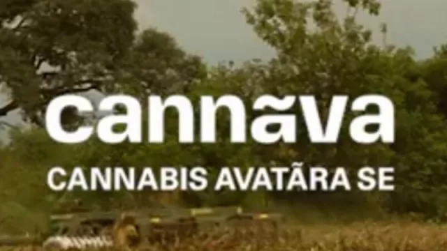 Cannava S.E. estrena su página web (con mucha información sobre el cannabis medicinal) 