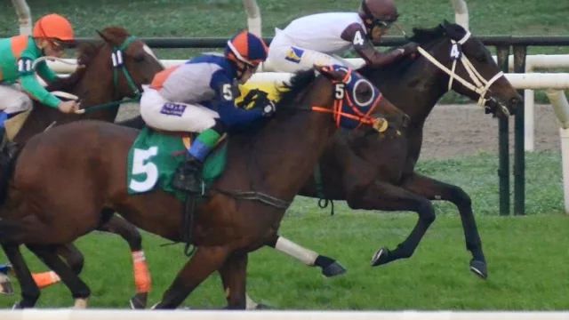 El “Ajuste Fiscal” se podría convertir en el caballo de Troya uruguayo de US$ 1 millón