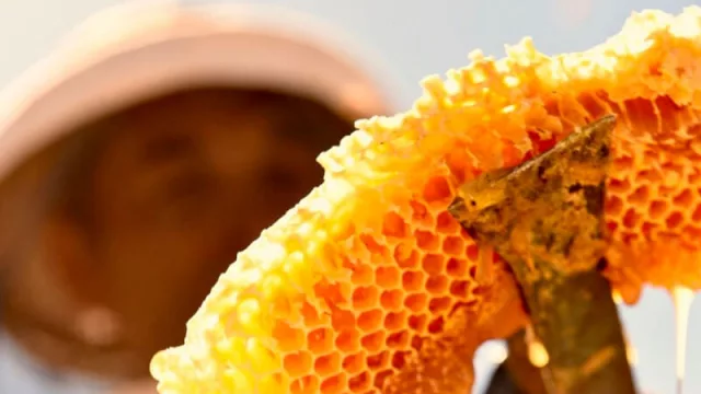 El COPADE anunció nuevos créditos para la reactivación productiva