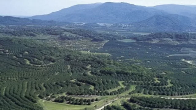 Tafí Viejo comienza a gestar un importante proyecto buscando consolidarse en el NOA