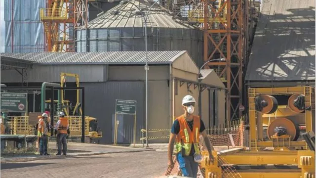 A pesar del predominio del agro, la recuperación se explica por cada vez más sectores