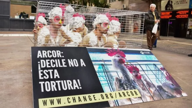 Piden que Arcor deje de usar jaulas en batería para gallinas (como Nestlé, Unilever y Mondelez)
