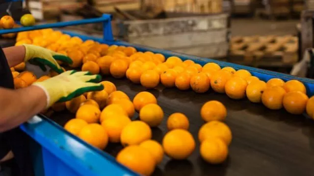 Inaugurarán una planta que producirá una tonelada de jugos por hora en Corrientes