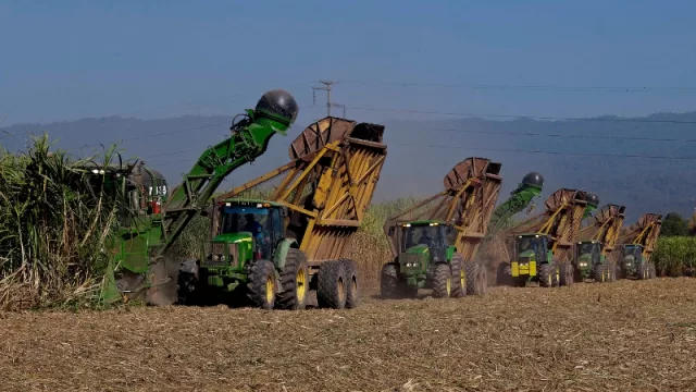 For export: Jujuy, a través de Ledesma, exportará 2.197,87 toneladas de azúcar a Estados Unidos