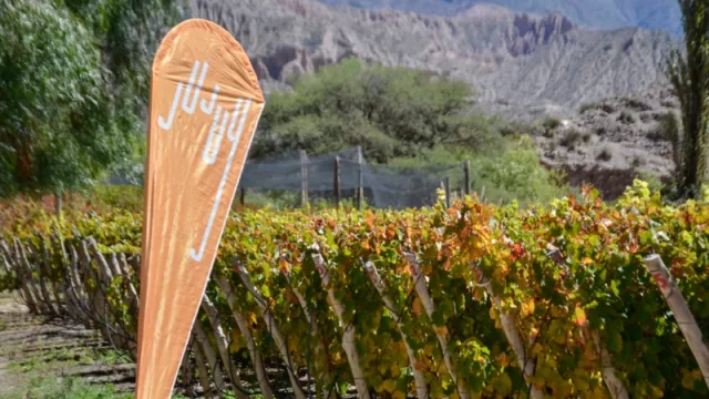 Vinos jujeños, protagonistas de un encuentro cultural en Buenos Aires (la vitivinicultura crece a buen ritmo en la provincia)