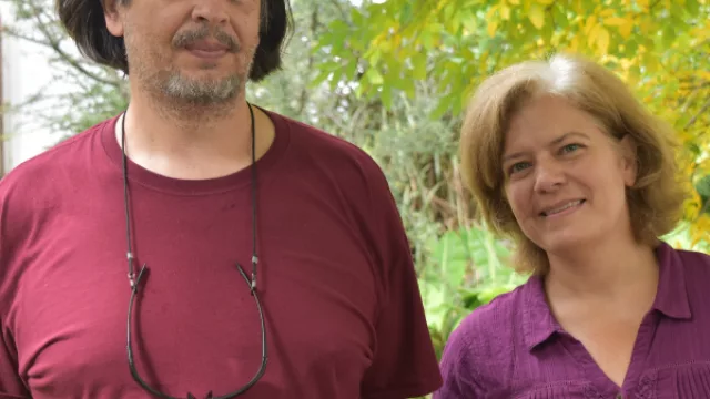 Manejo de bosques en Jujuy: la actividad forestal, sus impactos y regulaciones 