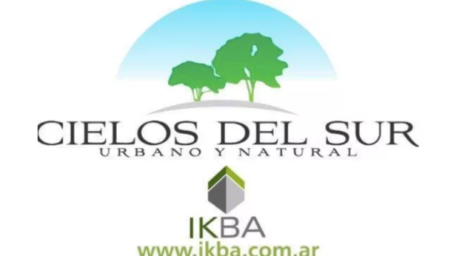 Cielos del Sur, infierno de todos: tramitan el concurso preventivo de IKBA SA 