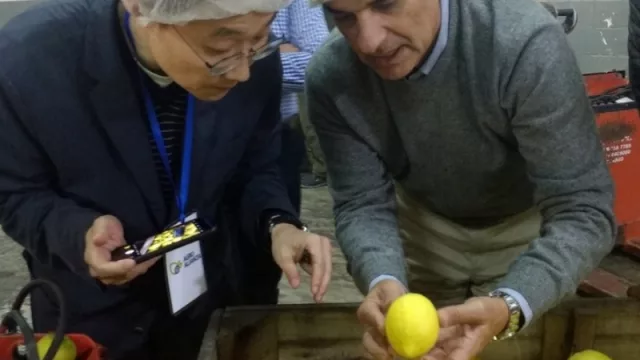 Productores asiáticos se llevaron una imagen positiva del limón tucumano