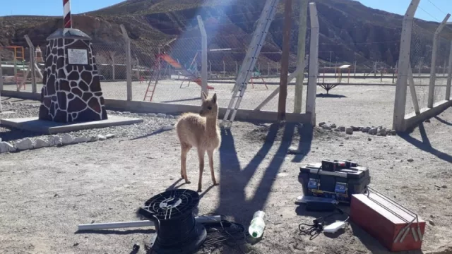 ¡La Puna jujeña ya es otro punto digital activo! La conectividad Wi-Fi llegó de la mano de oportunidades laborales