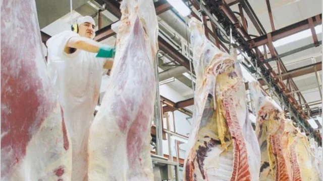 Exportaciones de carne subieron 35% en abril, pero advierten dependencia de China
