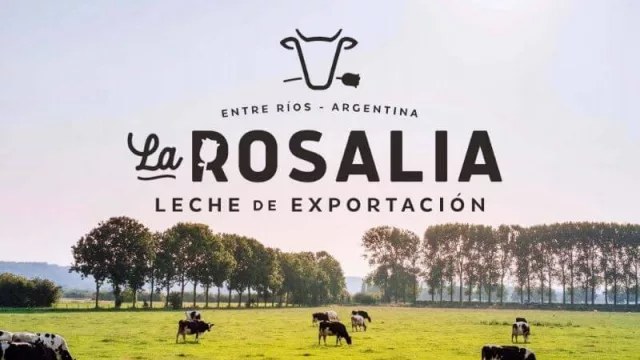 Instalan paneles solares y cámaras online real time en un tambo de Entre Ríos