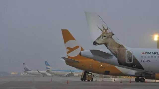 La “Revolución de los Aviones” pierde aviones: 4 máquinas menos por el efecto Max 8 (y no solo eso)