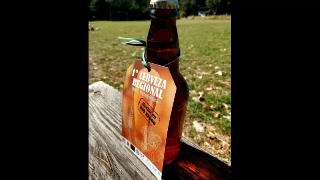 La primera cerveza 100% patagónica ya está en producción de la mano del INTA