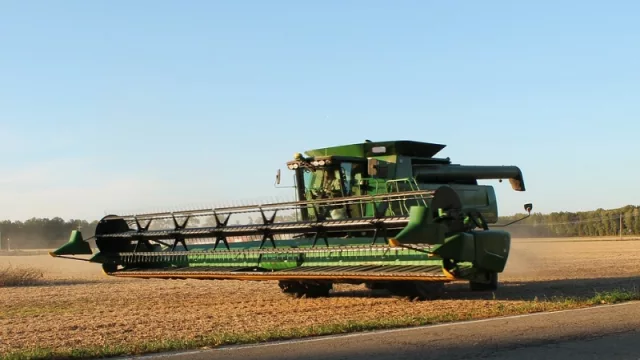 El 97% de la soja entrerriana se presenta en buenas condiciones