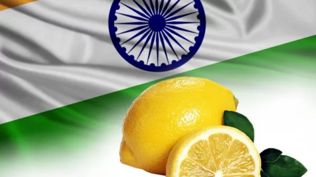 Los números que mueve el nuevo mercado asiático al que ingresará el limón tucumano