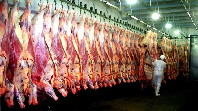 Inversionistas chinos adquirieron un frigorífico correntino