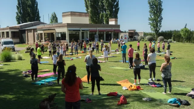 Día de los enamorados: ¿te pinta una clase de yoga con tu pareja en una bodega?