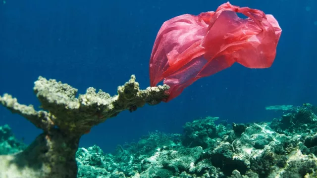 Corona se suma a la causa: "por una playa libre de plástico" (¿y si lo hiciéramos en el Río Xibi-Xibi?)