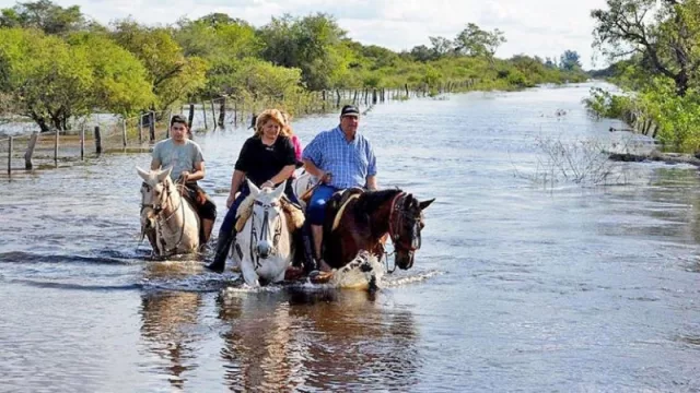 La Sociedad Rural de Chaco pide que Senasa intervenga para vacunar la hacienda bajo agua
