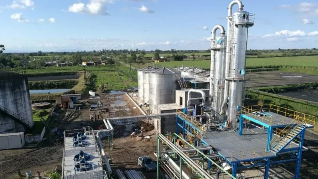 El Grupo Budeguer entre el récord de molienda del Ingenio Leales y la expansión a Jujuy