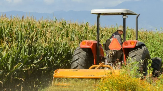 Nuevos convenios con el CFI para aumentar la actividad productiva en Corrientes